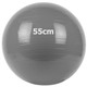 GM-55-1 Мяч гимнастический "Gym Ball"  55 см (серый)