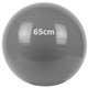 GM-65-1 Мяч гимнастический "Gym Ball"  65 см (серый)