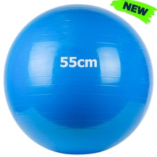 GM-55-2 Мяч гимнастический "Gym Ball"  55 см (синий)